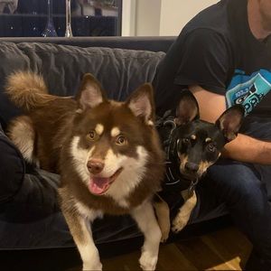 Meet your Posher, Margo